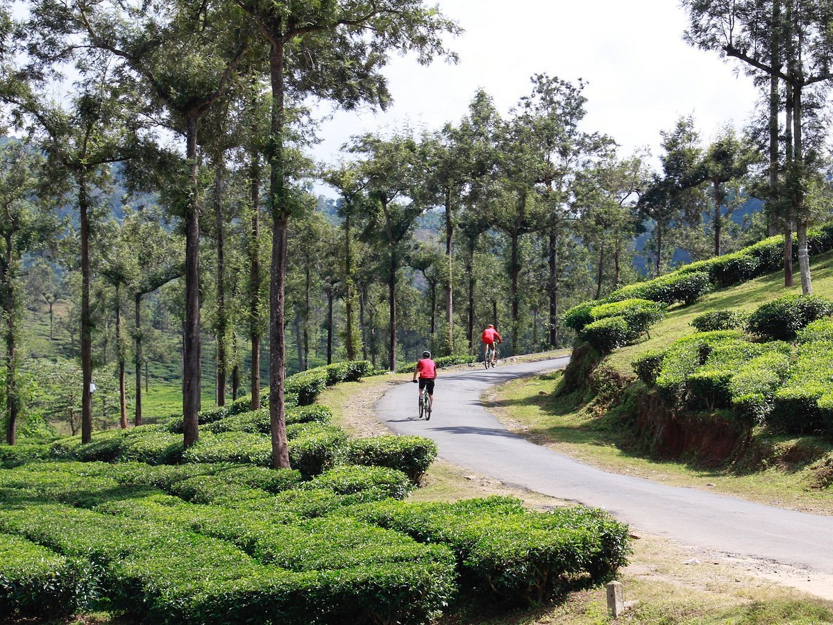 Kerala Cycling Tour 13 Days